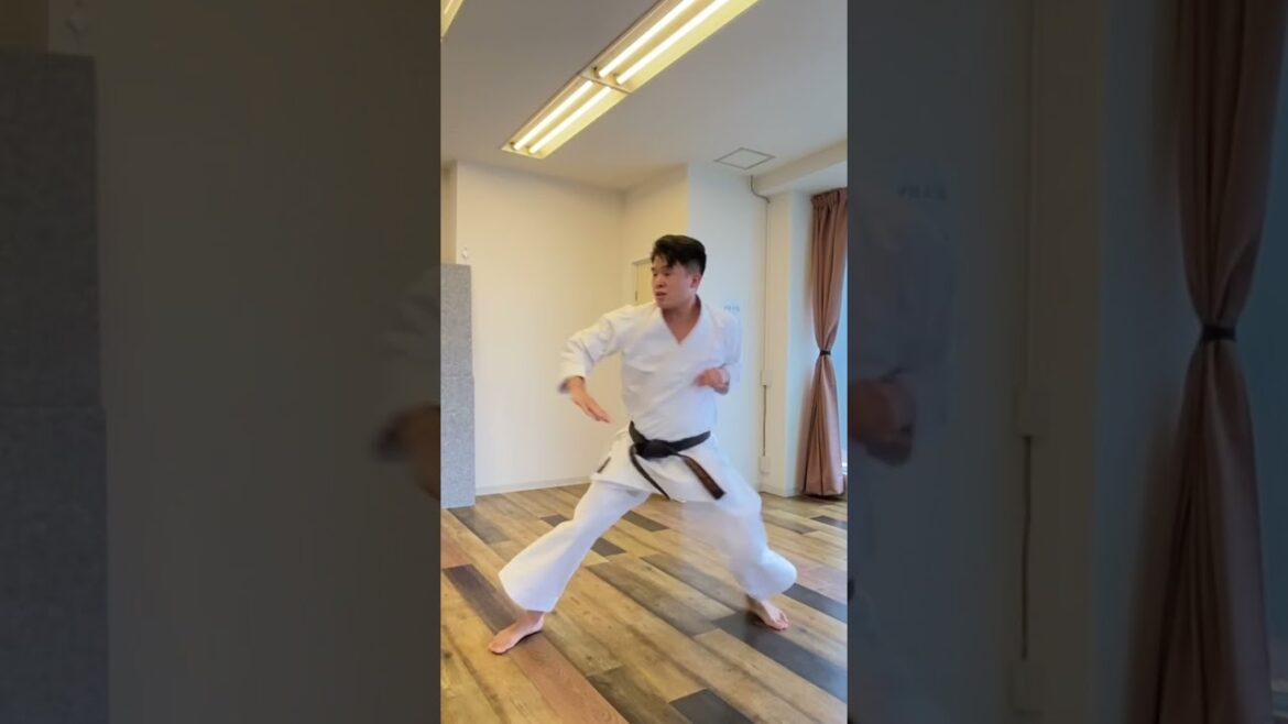 【形名選手権】パープーレン#shorts #karate #kata #空手 #オリンピック