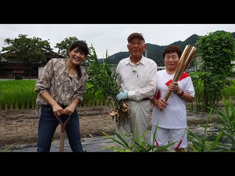 Grandma Akiko, who served as the torchbearer for the Tokyo Olympics 2020, will appear in Grandma’s kitchen on October 16th! You will be taught “Ginger Tsukudani”.