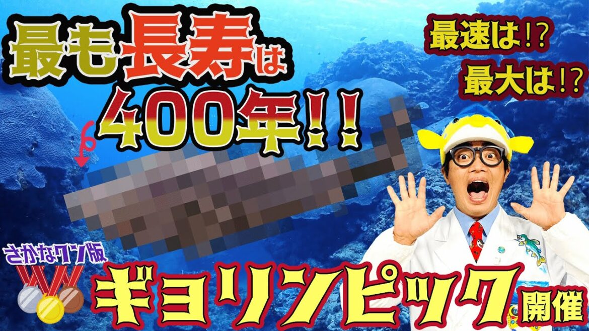 【江戸時代から生き続けるお魚!】お魚オリンピック開催!さかなクンが認定。