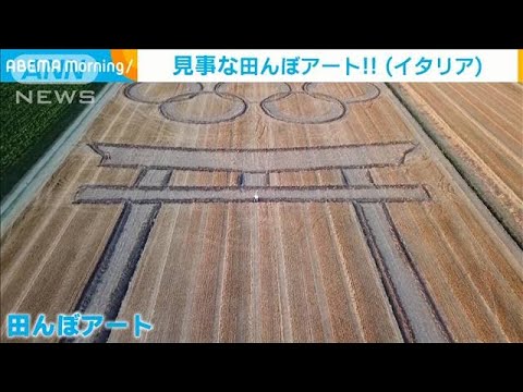 “田んぼアート”で東京五輪を記念 イタリア(2021年7月23日)