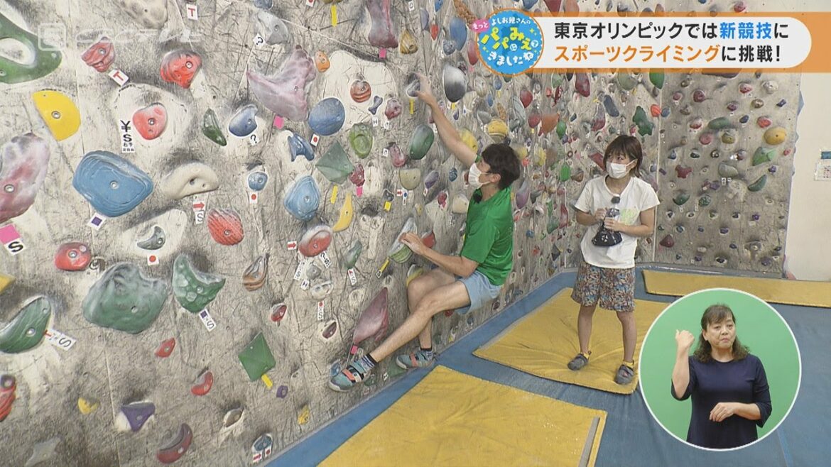 東京オリンピックでは新競技に スポーツクライミングに挑戦!(2021/9/8放送「よしお兄さんのもっとパパにみえてきましたね」より)