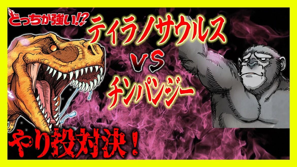 【どっちが強い】陸上競技のやり投で対決!恐竜界からはティラノサウルスが登場!ヒト科のチンパンジーとどっちが強い!?【漫画】【オリンピック】