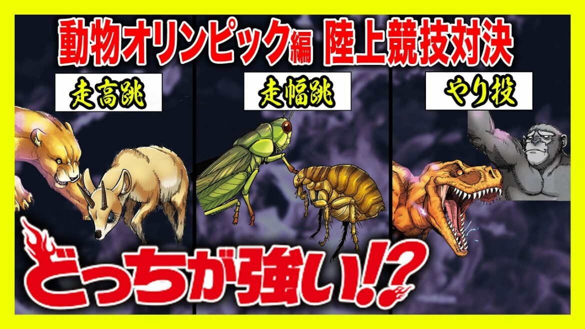 【どっちが強い】動物や昆虫、恐竜・・・生き物たちが陸上競技で対決!走幅跳に走高跳、やり投!もしも動物だけでオリンピックを開催したらどうなる!?