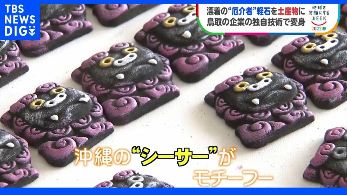 “厄介者”軽石を独自技術で土産物に変身|TBS NEWS DIG