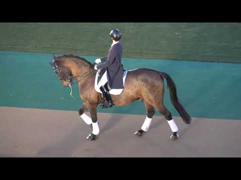 ジャパンカップデー 東京2020オリンピック 出場選手による馬場馬術実演&スペシャル馬術トークショー 現地映像