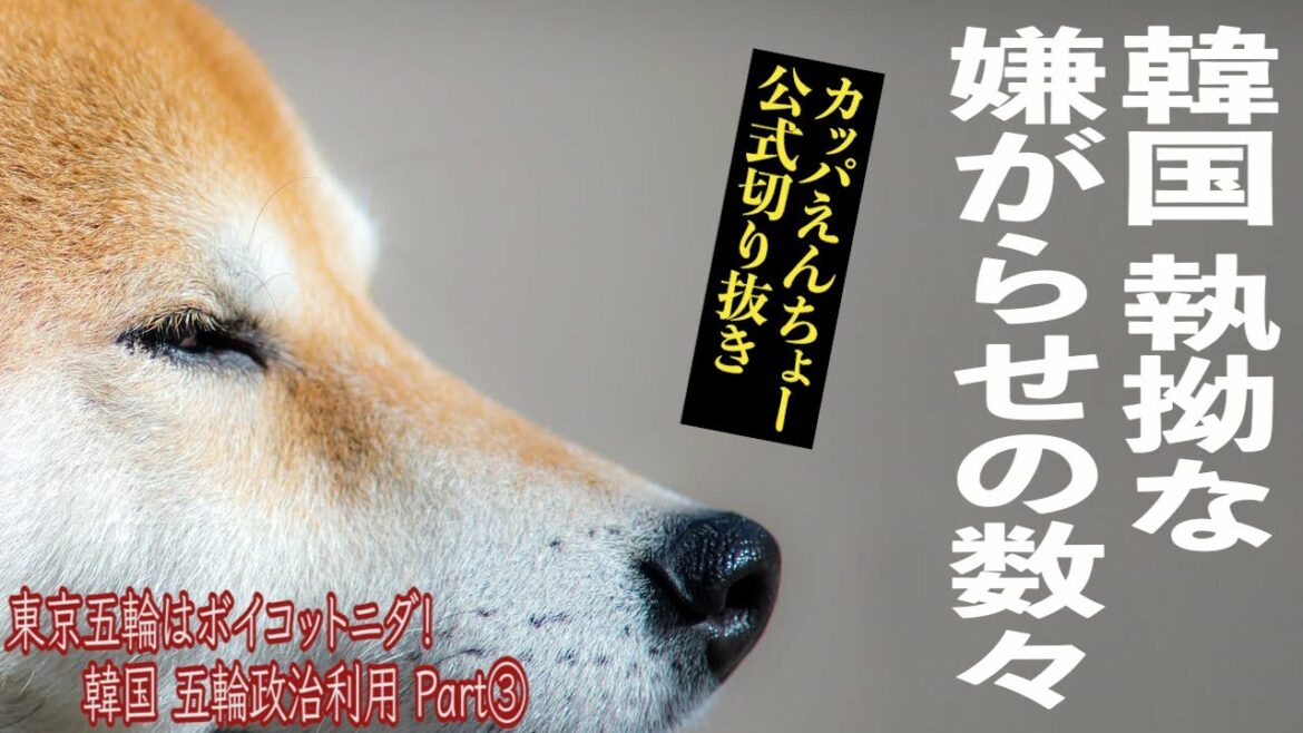 【切り抜き】東京五輪はボイコットニダ!韓国五輪政治利用Part③韓国の執拗な嫌がらせの数々【カットカッパエンチョーCH】