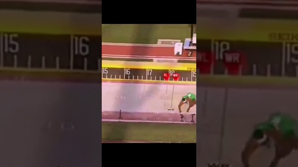 Pedro Pichardo triple jump world champion, the jump that won the gold medal in Eugene USA