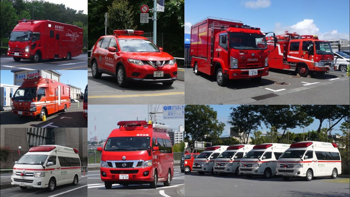 One year after the end of the Tokyo Olympics and Paralympics