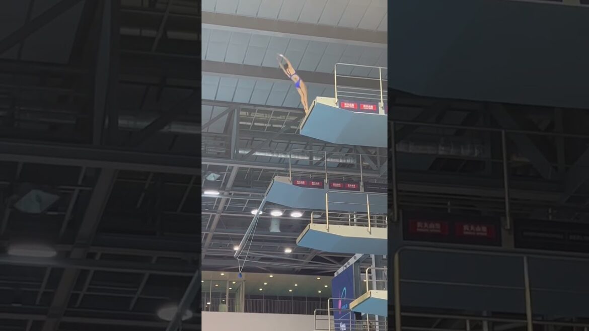 Olympic Champion in action at the FINA Diving World Cup