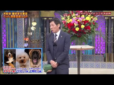 Dance! Pacific saury palace!! Video Tokyo Olympic medalists participate in the battlefield of laughter! Why is Tetsuro Degawa popular and saury jealous?! First appearance of Kota