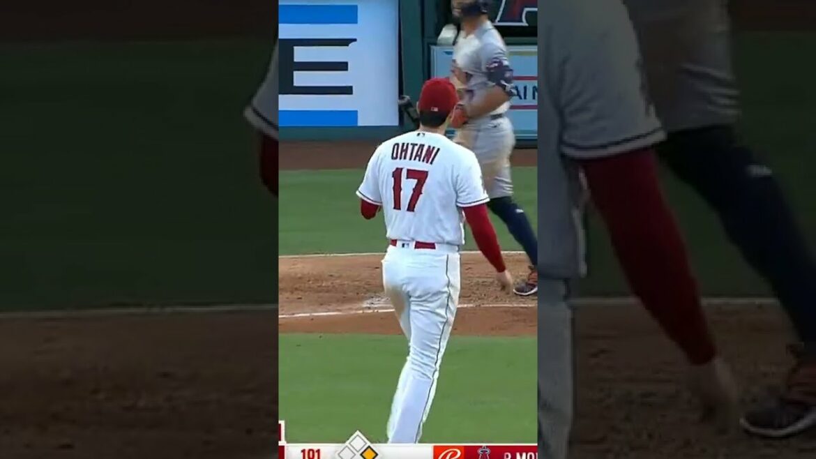 101 from Shohei Ohtani 101 from Shohei Ohtani