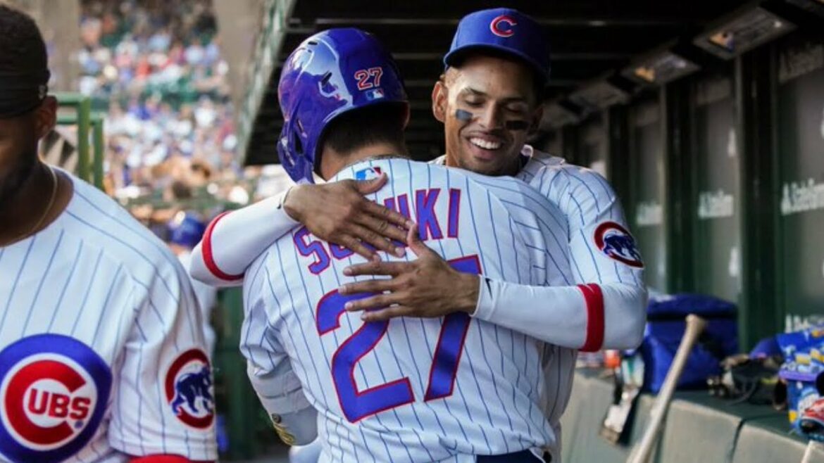 Seiya Suzuki 2022 Mid-Season Highlights!