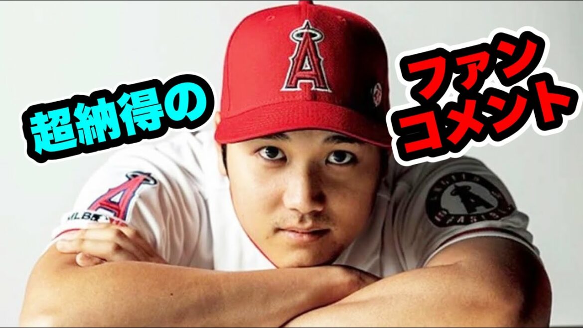 Shohei Otani All MLB team wins 2 divisions Fan comments on 3 awards this season are convincing