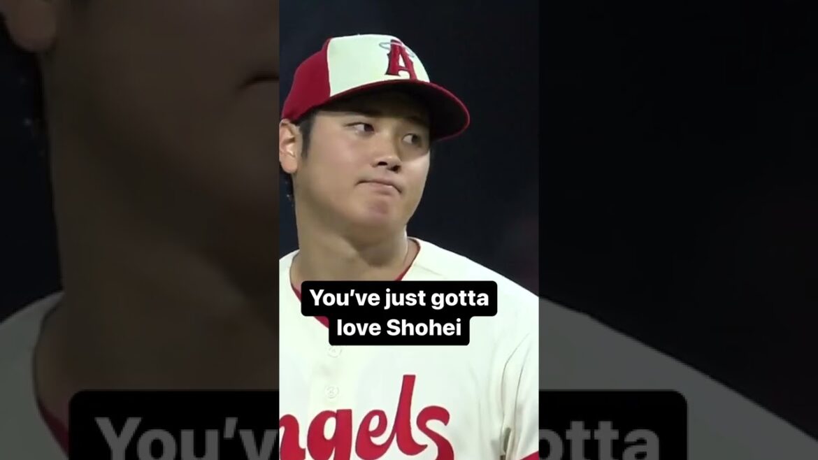 Trying to figure out dinner plans like…. (Shohei Ohtani is too funny! 🤣🤣) Trying to figure out dinner plans like.... (Shohei Ohtani is too funny! 🤣🤣)