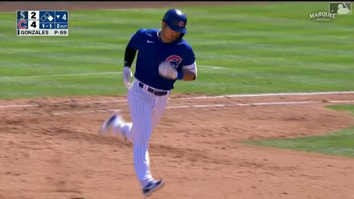 Seiya Suzuki's First Home Run of Spring Training
