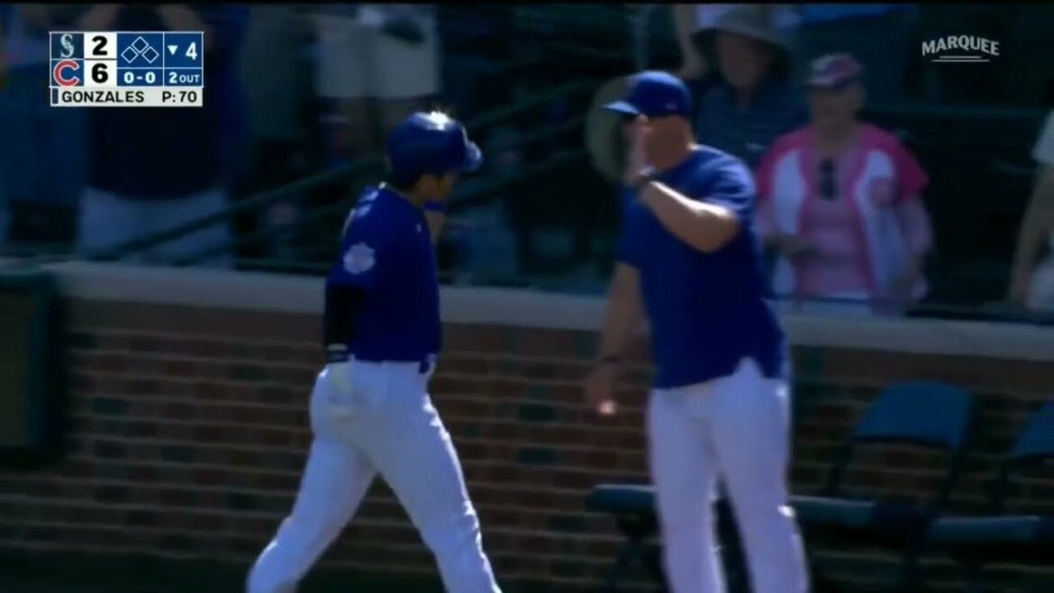 Seiya Suzuki's First Home Run As A Cub (Spring Training)