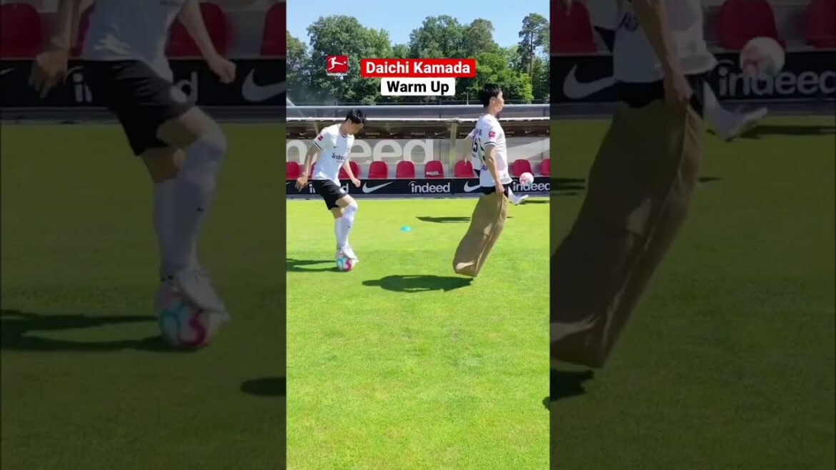 KAMADA πͺπ
Skills KAMADA πͺπ
Skills