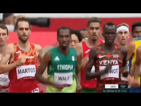 Men’s 3000m steeplechase|Tokyo Olympics Men's 3000m steeplechase|Tokyo Olympics