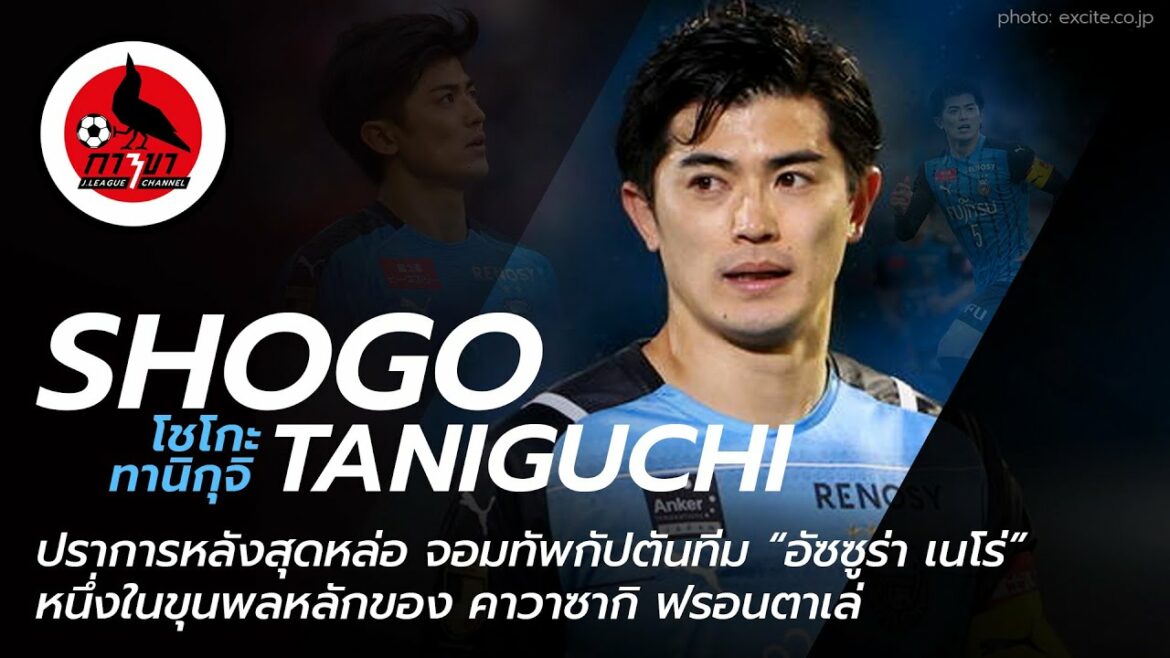 Shogo Tanigichi, the handsome defender Owner of the captain’s armband Kawasaki Frontale Shogo Tanigichi, the handsome defender Owner of the captain's armband Kawasaki Frontale