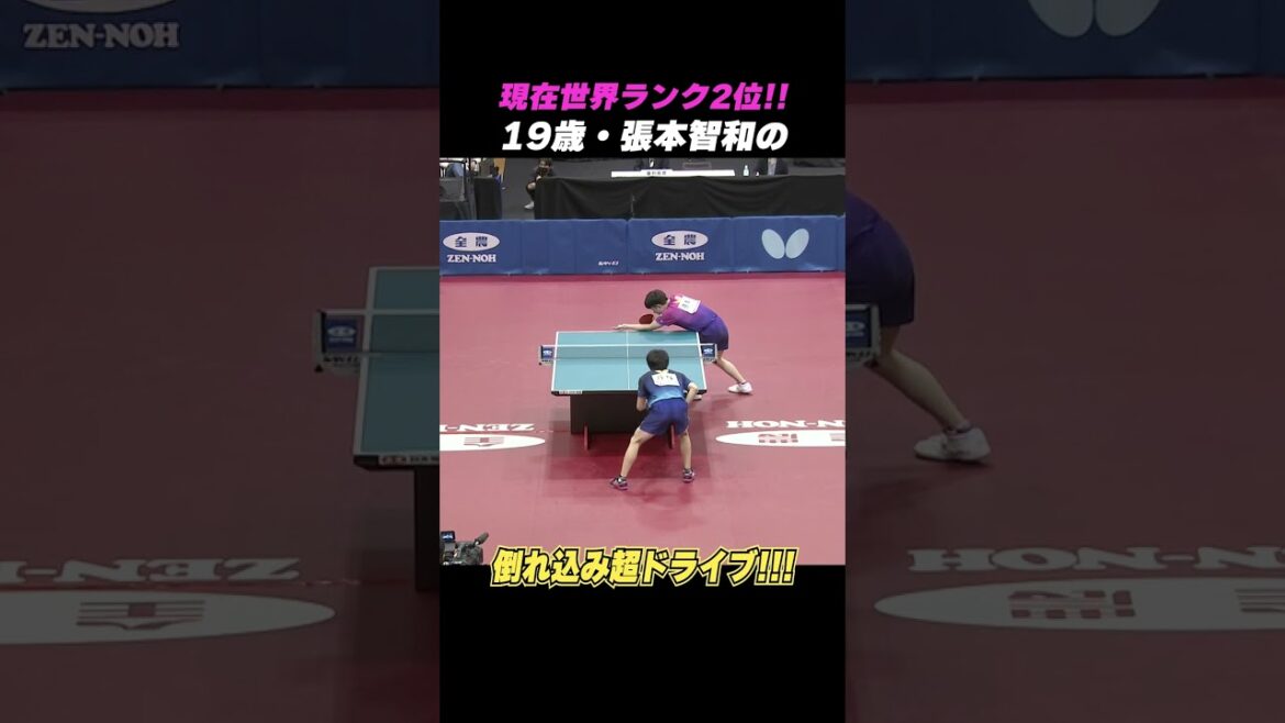 [Kiwakkiwa]Daito Shinozuka can't even handle it.. Tomokazu Harimoto's collapsed drive 🤸‍♂️💥｜#Shorts