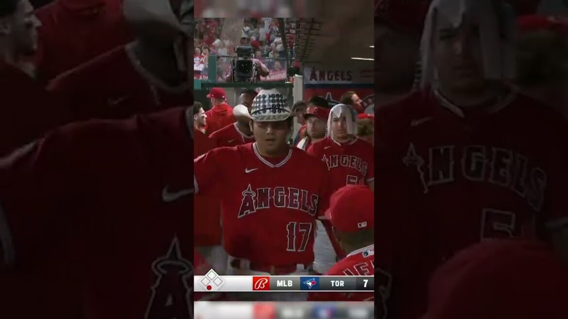 And that's what you missed on Glee!