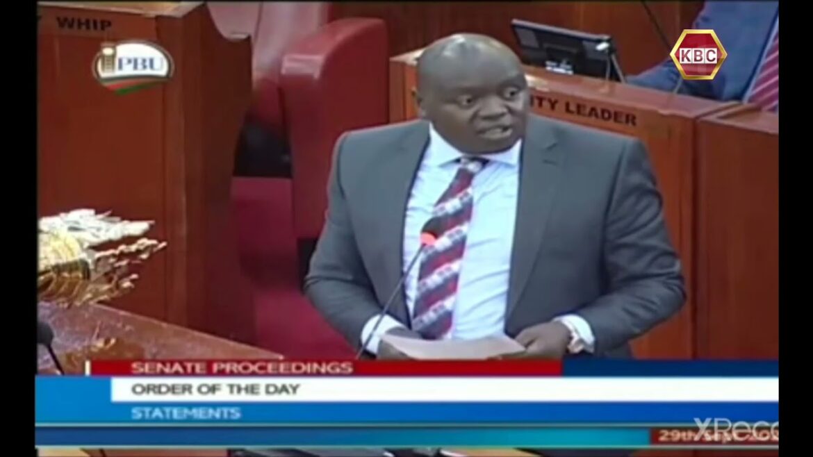 Nandi Senator Samson Cherarger Requests for Statements from Tokyo 2020 Olympic games