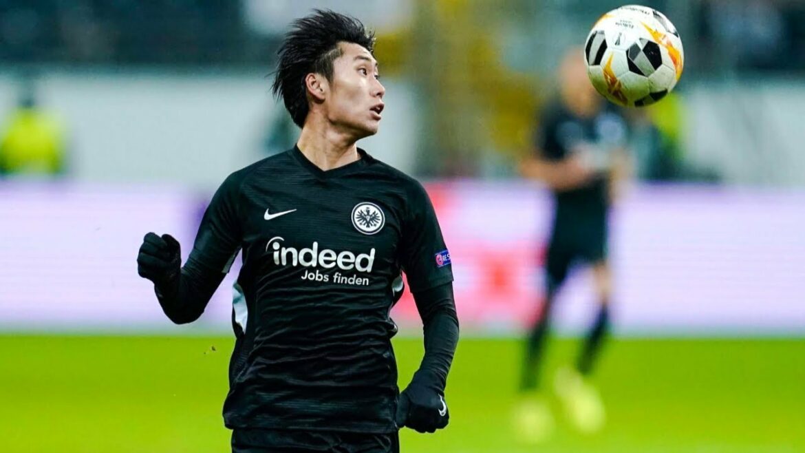 Daichi Kamada | Japanese Linebacker Skills Daichi Kamada | Japanese Linebacker Skills