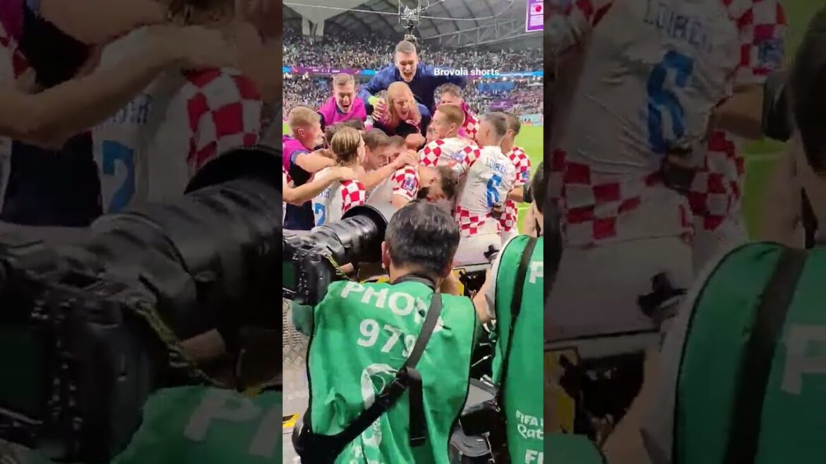 This view of Croatia's game-winning penalty and celebration is 🇭🇷#croatiavsjapan #winningcelebration