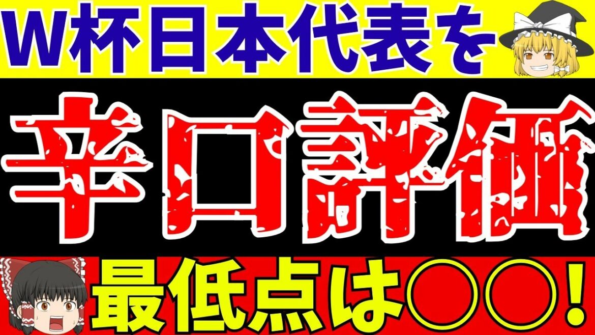 [Japan national soccer team]Dry evaluation of all players, including coach Moriyasu, at the World Cup!![Slow commentary on soccer]