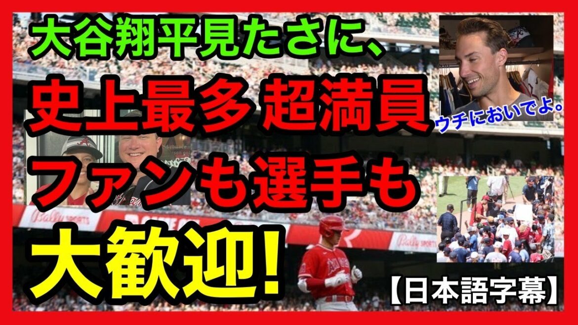 [Japanese subtitles]Atlanta Braves, the team most awaited for Shohei Ohtani💗