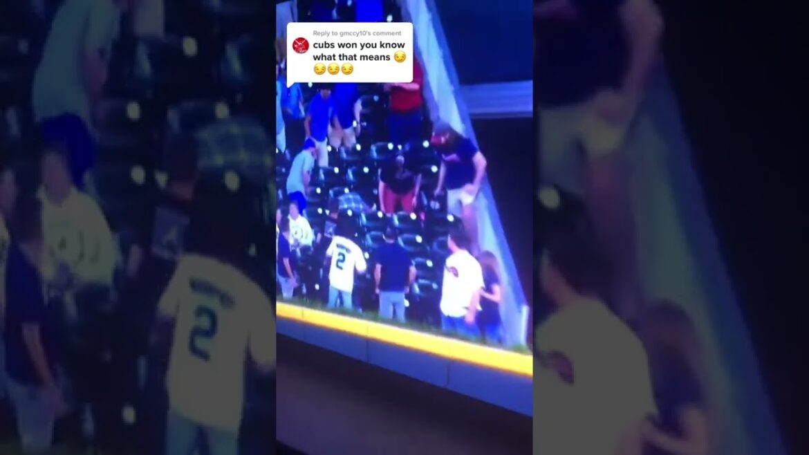 Seiya Suzuki reaction to the Patrick wisdom game winning home run is awesome