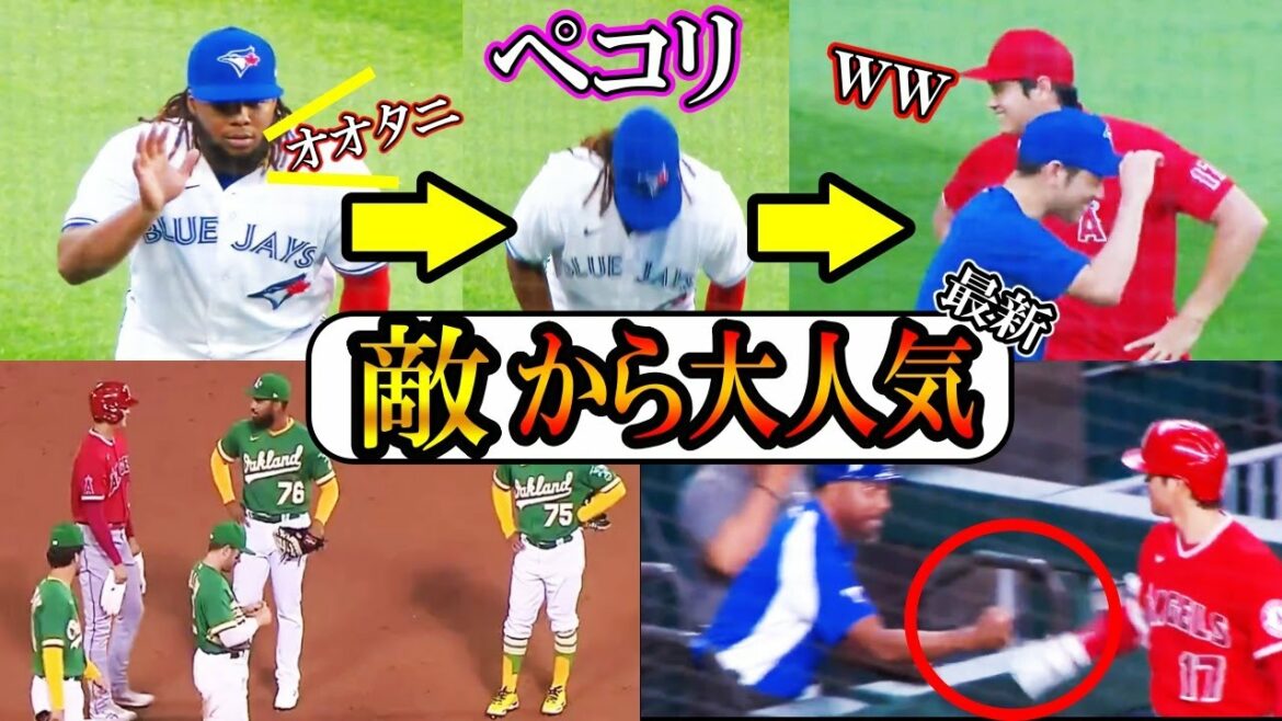 [Shohei Otani]Too popular with the enemy team, everyone gathered w! Shohei Ohtani bowing to Guerrero Jr.