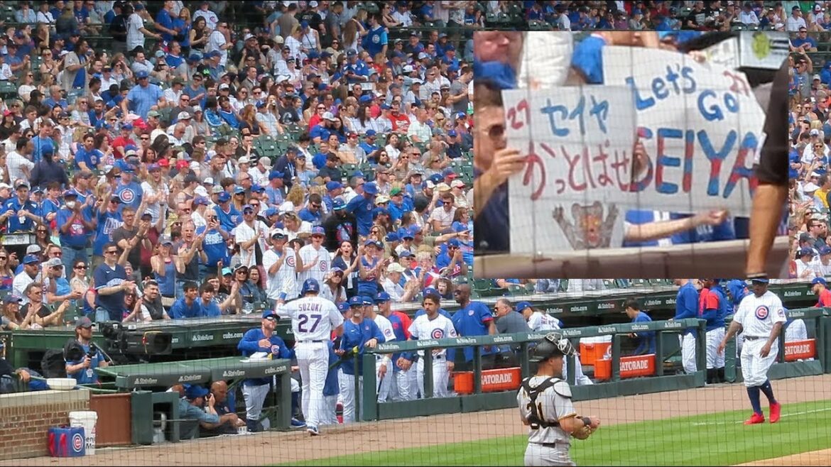 [Local video]Cheers every time Seiya Suzuki stands at bat!