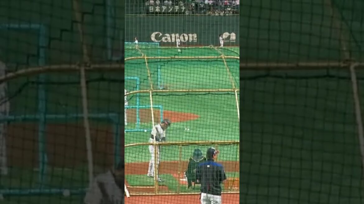 Seiya Suzuki Hiroshima Toyo Carp #shorts