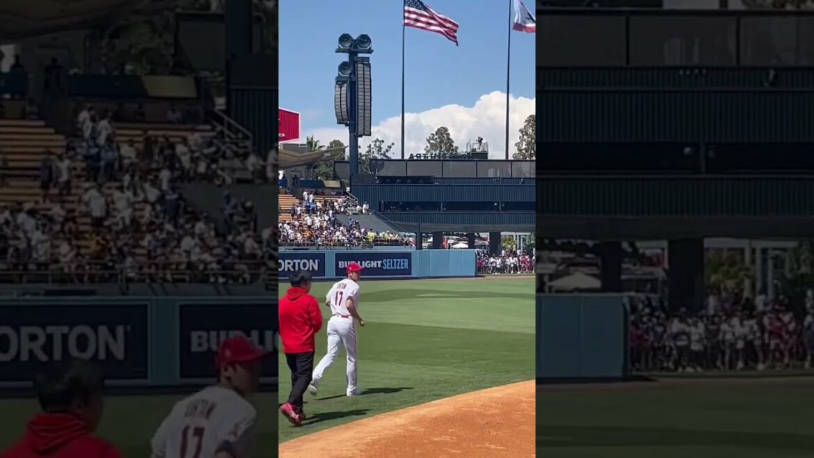 Shohei Ohtani #shorts Shohei Ohtani #shorts