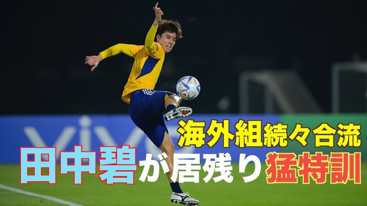 [Japan National Team]Overseas groups join one after another! Aoi Tanaka, who has just recovered from her injury, is staying behind for special training!