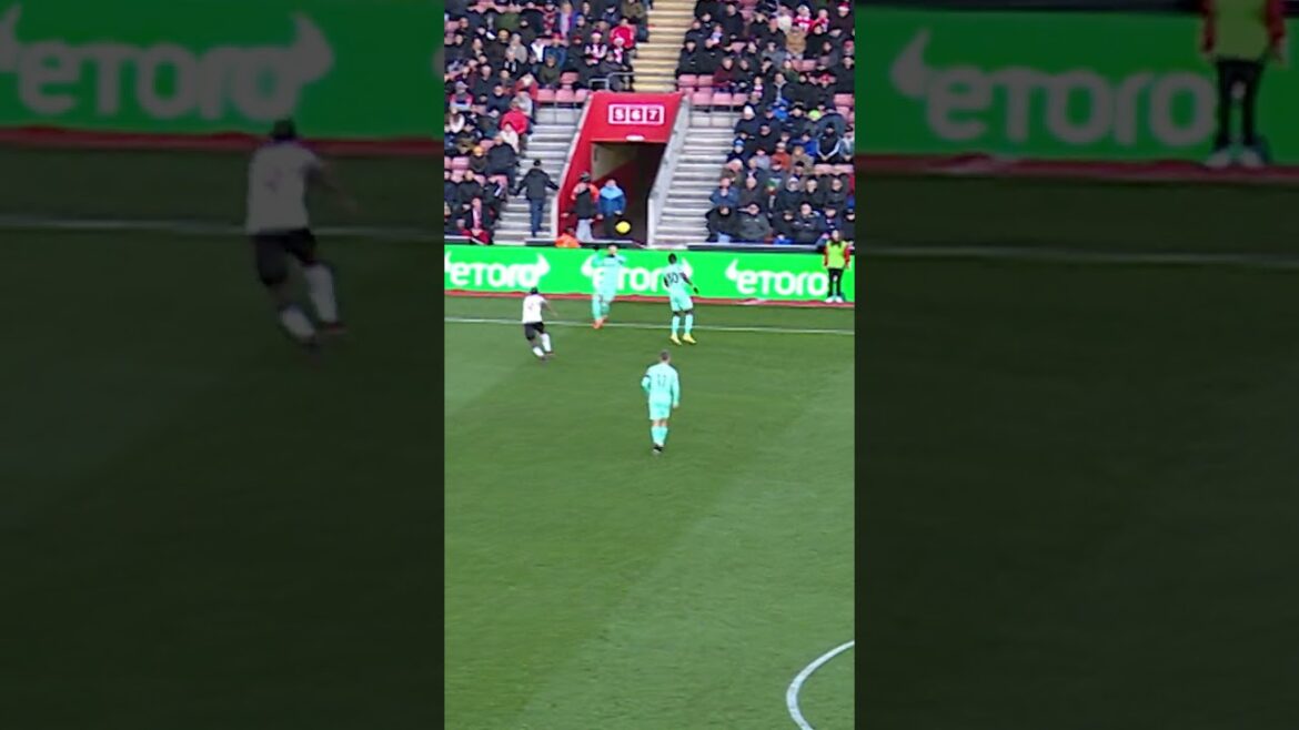 Mitoma's PERFECT Control