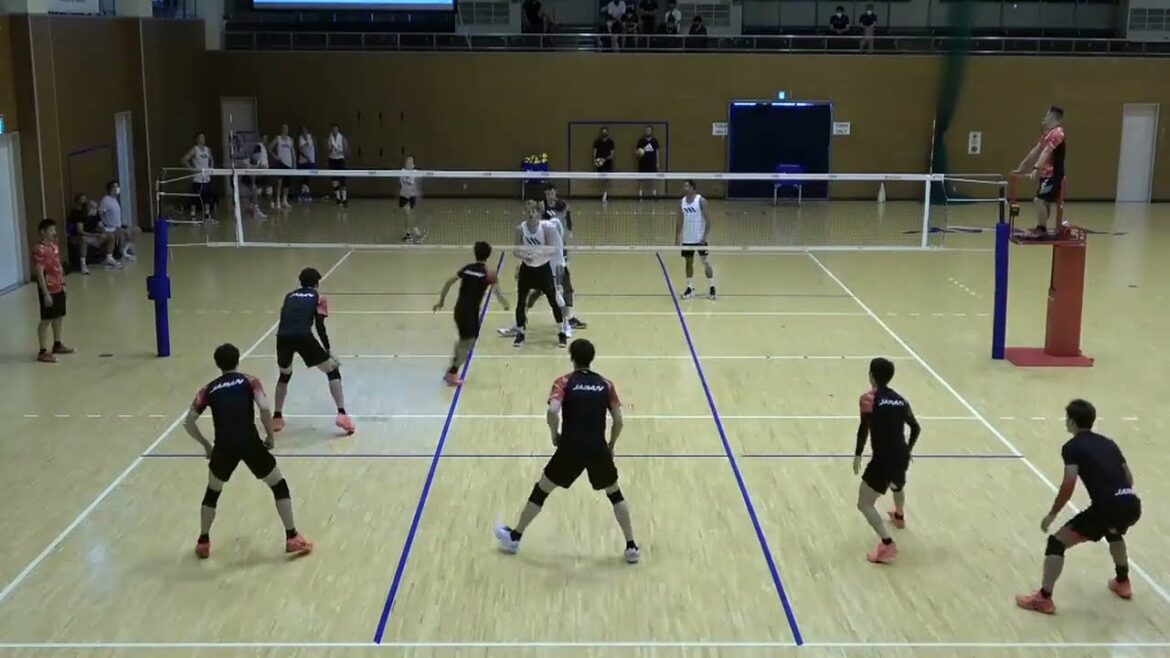 USA vs Japan 4:0 Volleyball Match Highlights USA vs Japan 4:0 Volleyball Match Highlights