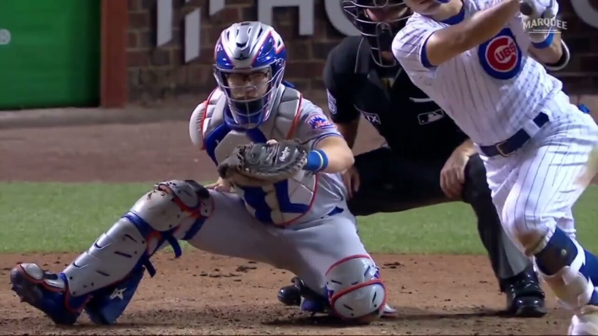 Seiya Suzuki is dynamic with a multi-hit while the team is defeated!  Towing the batting line as number 4!