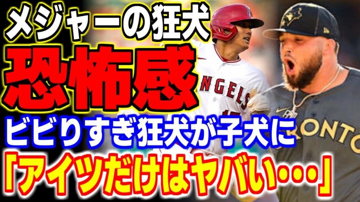 "Shohei Ohtani is crazy..." All the members were surprised by the real intention that the major mad dog unintentionally leaked!  ![MLB, Major League Baseball, Professional Baseball]