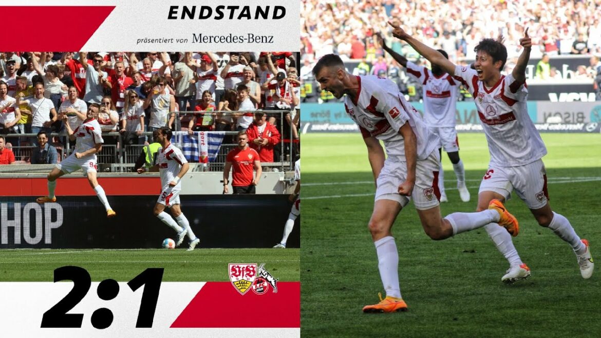 Stuttgart - Köln 2-1 Zusammenfassung |  Tor von Endo Wataru, Saša Kalajdžić, Anthony Modeste