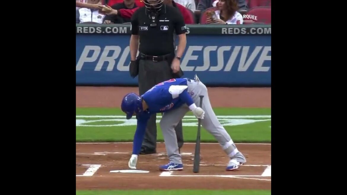 [Seiya Suzuki]Gentleman's behavior before the turn at bat is a hot topic #MLB #Shorts