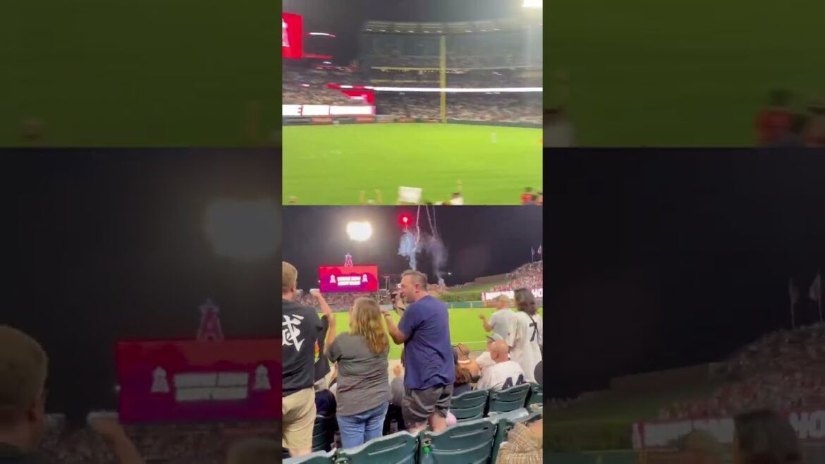 [⚾ Shohei Otani 2022 famous scene Vol.5]Strong arm call crushed! Oversized No. 30 reversal final back screen bullet!  #shotrs #shoheiohtani