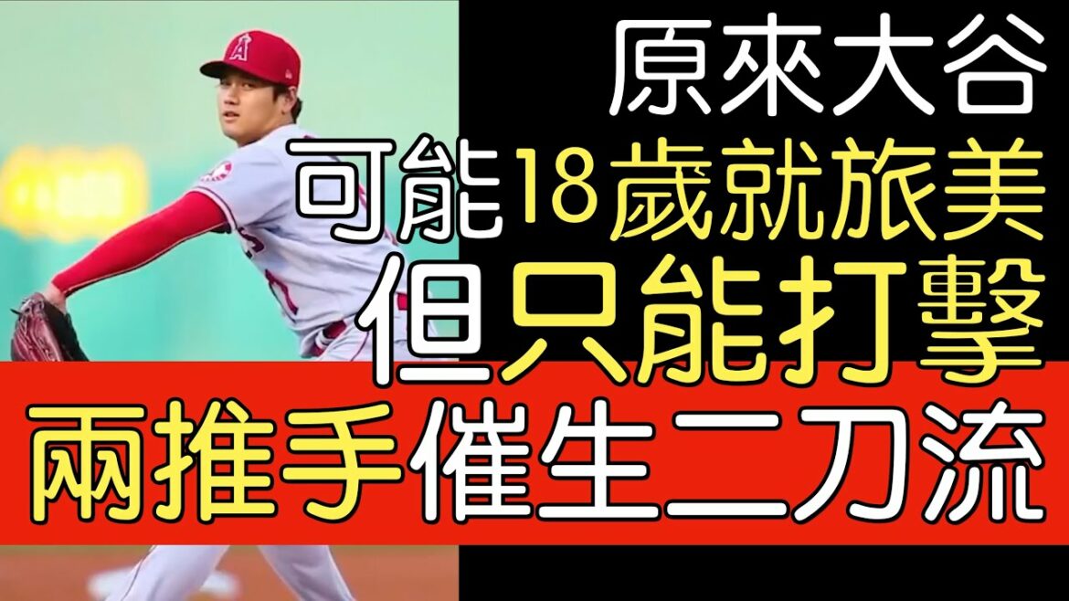 [Chinese translation]Shohei Otani's Road to the Birth of the Dual Swords Style