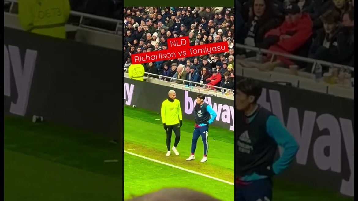 Richarlison vs Tomiyasu Takehiro Tomiyasu vs Richarlison