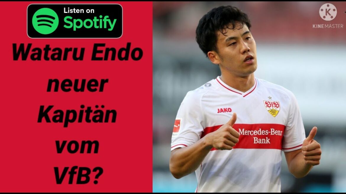 Wataru Endo new VfB captain in the new season?  VfB update