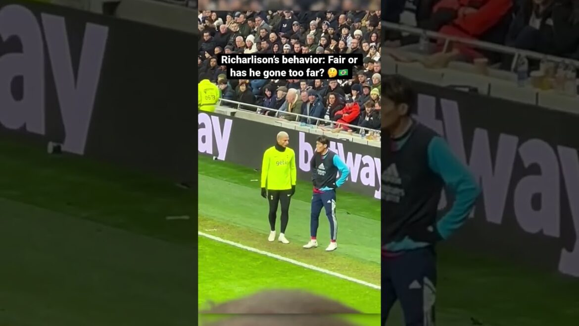 Richarlison Instigates Fight vs Arsenal: Did he go too Far? 😳🇧🇷 #shorts #premierleague #footbal