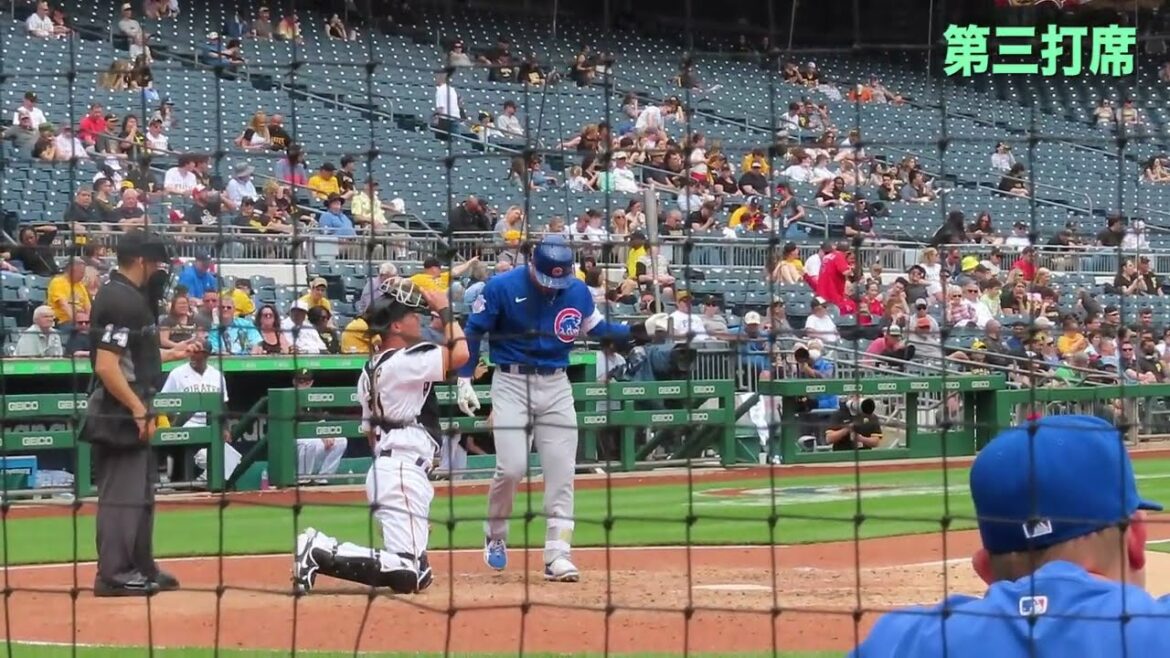 [Watching the local game]Take a picture of Seiya Suzuki's turn at bat from behind the bench Watching the Pirates game