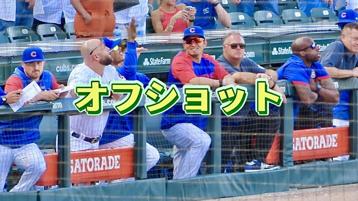 [Seiya Suzuki]Various off-shots[local footage]