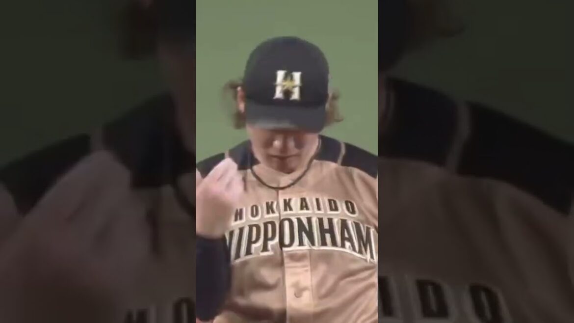 Darvish II “Ito Taikai” #Professional Baseball #NPB #Darvish Yu #Ito Taikai #Nippon Ham